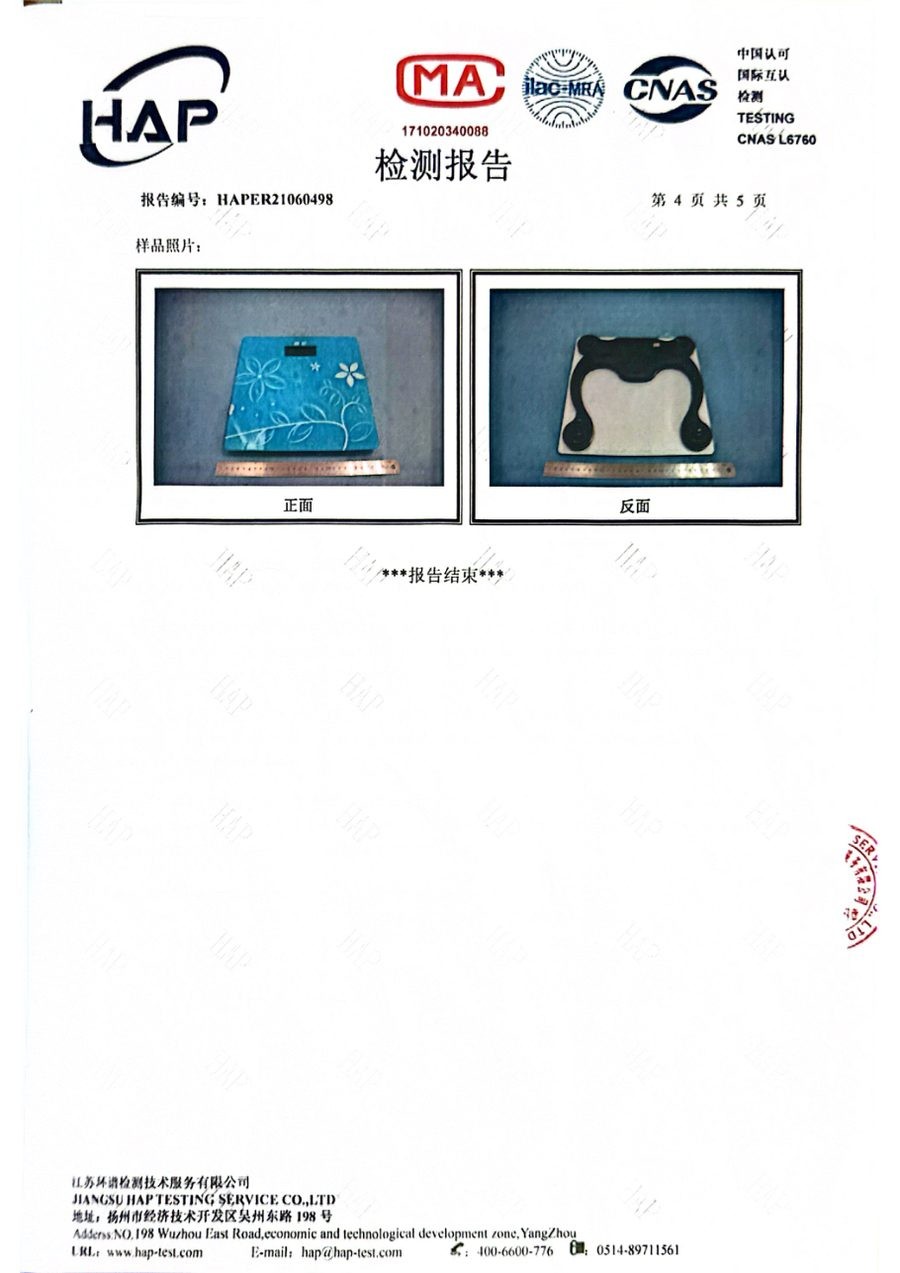 电子秤重金属检测报告（GB/T 26125）（第6页）